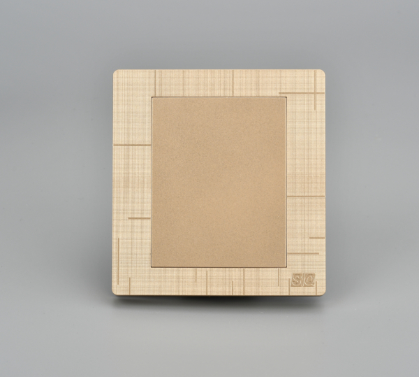 Blank Plate Socket
