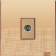 tv socket